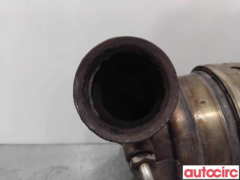 Partikkelfilter til Citroën Berlingo 2008-2015 (Type II, Fase 1)  (CITROEN|174037|TRPSAK494|)