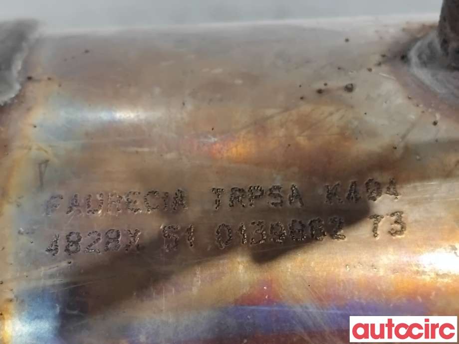 Partikkelfilter til Citroën Berlingo 2008-2015 (Type II, Fase 1)  (CITROEN|174037|TRPSAK494|)