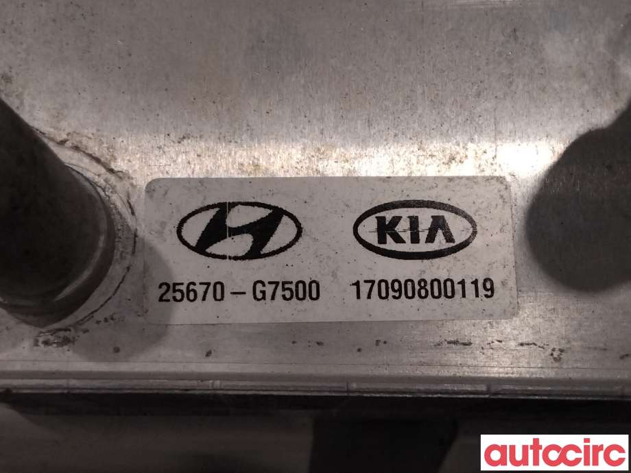 Varmeapparat diverse til Hyundai Ioniq Electric 2016-2019 (Fase 1)  (HYUNDAI|25671G7500||25670-G7500)