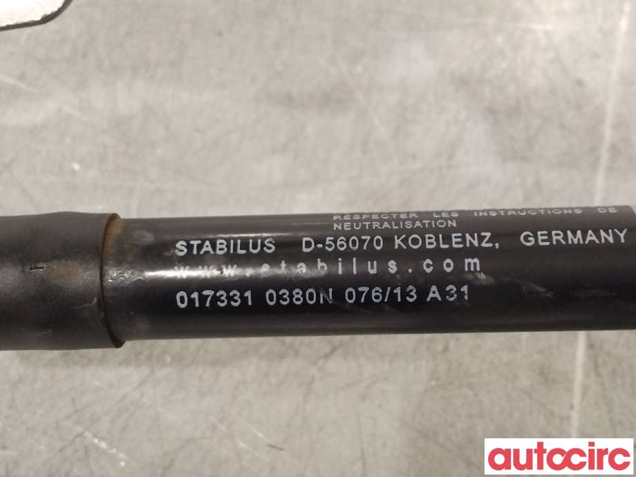 Panserhengsler til Volvo V60 2010-2013 (Type I, Fase 1)  (VOLVO|31385813)