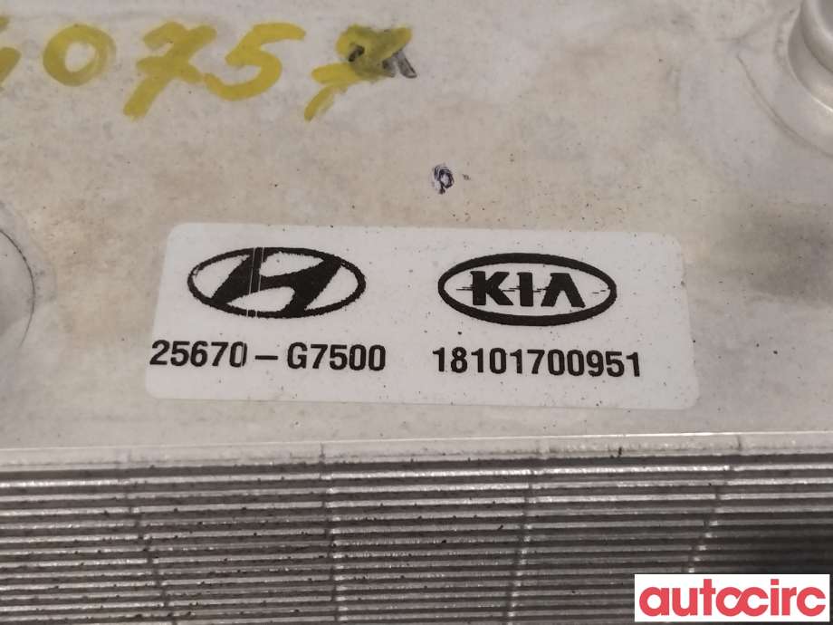 Varmeapparat diverse til Hyundai Ioniq Electric 2019-->> (Fase 2)  (HYUNDAI|25671G7500||25670-G7500)