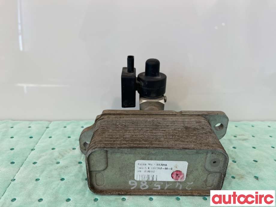 Varmeapparat diverse til Tesla Model S 2016-2021 (Fase 2)  (TESLA|1037357-00-G|)
