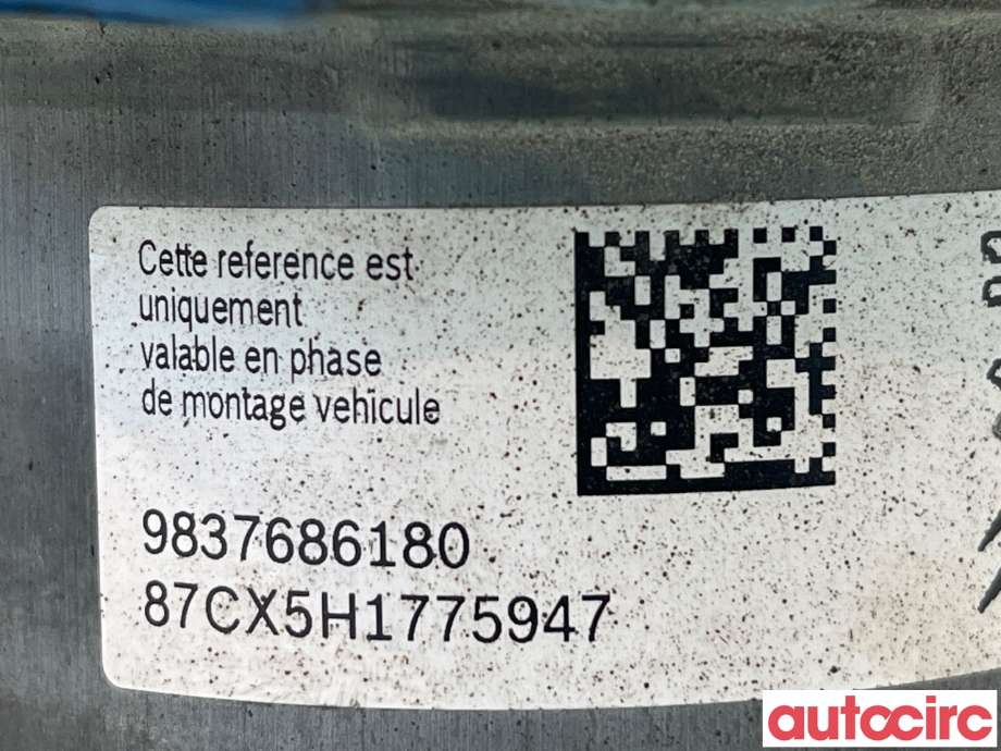 ABS sentral til Peugeot 208 2019-->> (Type II)  (PEUGEOT|1675663880||9824311280)