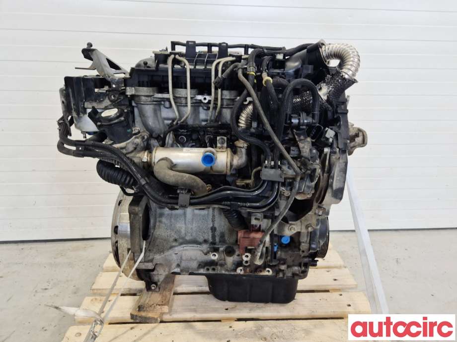 Motor diesel til Ford Focus 2008-2010 (Type II, Fase 2)  (FORD|1679684|G8DD|RM7M5Q-6006-AA)