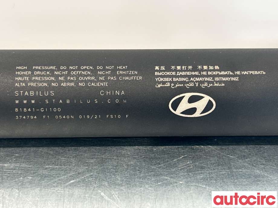 Baklukedemper til Hyundai Ioniq 5 2021-->>  (HYUNDAI|81841GI100||81841-GI100)
