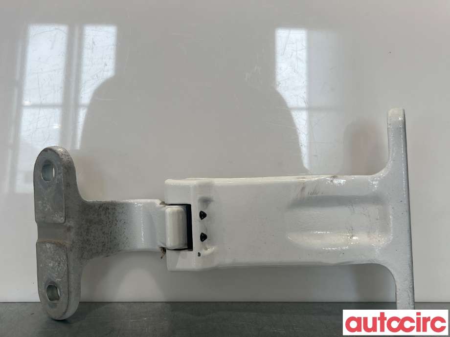Hengsler til Ford Transit Connect 2018-->> Type II, Fase 2  (FORD|2168175||DT11V42982-AD)