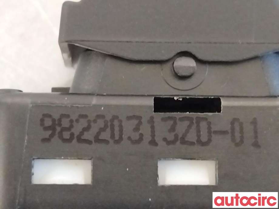 Bryter ruteheis til Peugeot 308 2021-->> (Type III)  (PEUGEOT|98220313ZD)