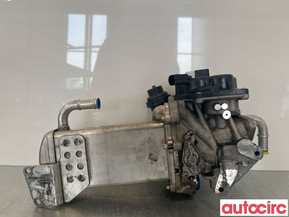 EGR-ventil til VW Transporter / Caravelle 2009-2015 (Fase 2) (T5) (T5) (VOLKSWAGEN|03L131512BM||03L131512DS)