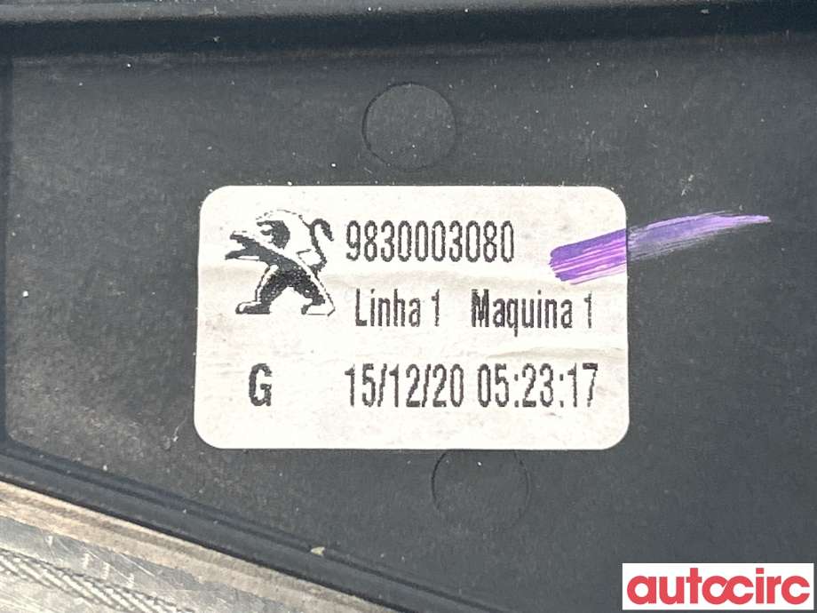 Ruteheis venstre bak til Peugeot 2008 2019-->> (Type II)  (PEUGEOT|9830003080)