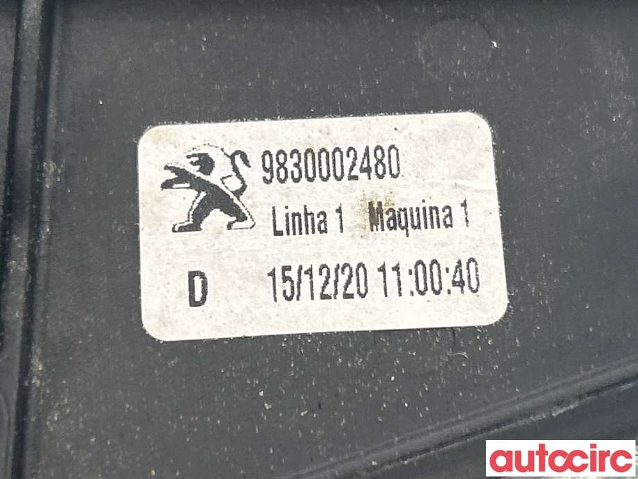 Ruteheis høyre bak til Peugeot 2008 2019-->> (Type II)  (PEUGEOT|9830002480)