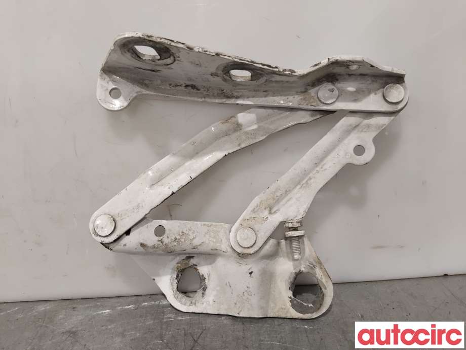 Panserhengsler til Ford Transit Custom 2013-2023 (Type I)  (FORD|2421362||BK21-16800-AD)