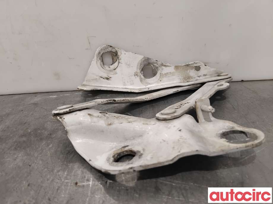 Panserhengsler til Ford Transit Custom 2013-2023 (Type I)  (FORD|2421362||BK21-16800-AD)