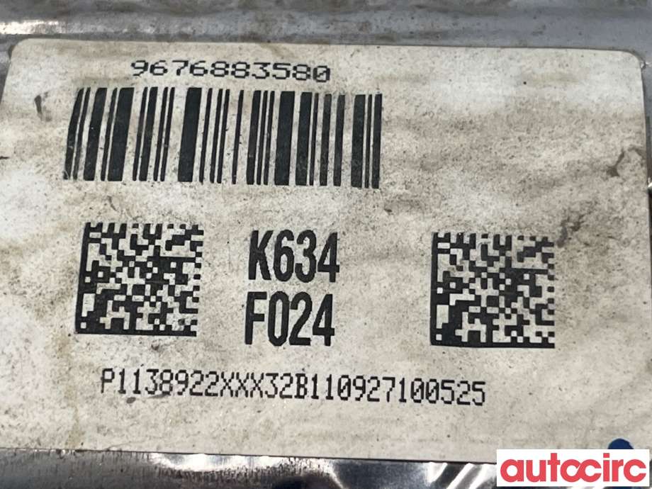 Partikkelfilter til Peugeot 3008 2009-2016 (Type I)  (PEUGEOT|173842|TRPSAF024|9676883580)