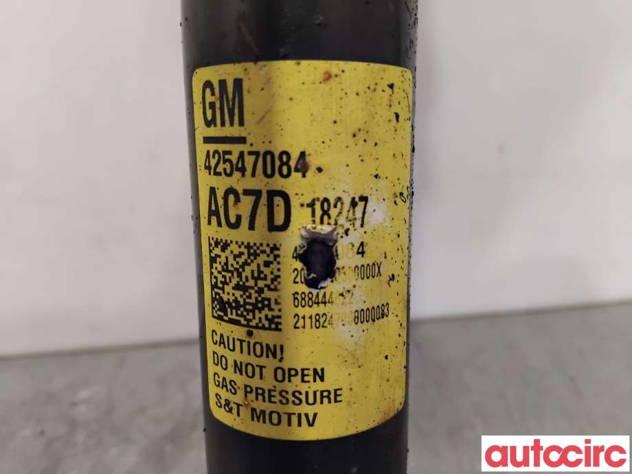 Støtdemper bak til Opel Ampera-e 2017-->> (Type II)  (OPEL|42547084|688444822)