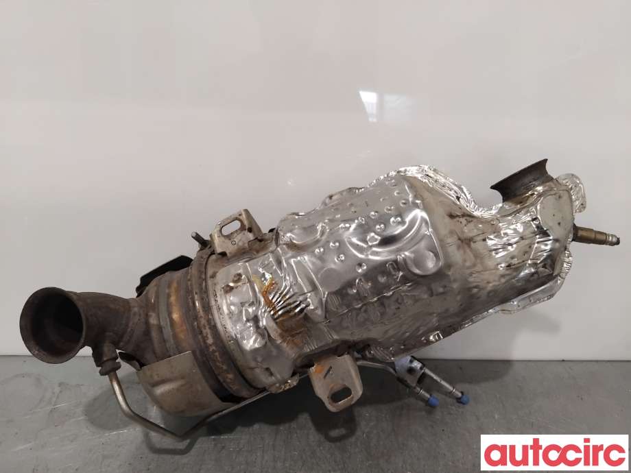 Partikkelfilter til Citroën Berlingo 2008-2015 (Type II, Fase 1)  (CITROEN|1609532780|TRPSAK638)