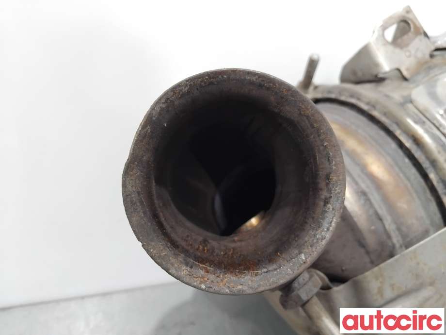 Partikkelfilter til Citroën Berlingo 2008-2015 (Type II, Fase 1)  (CITROEN|1609532780|TRPSAK638)