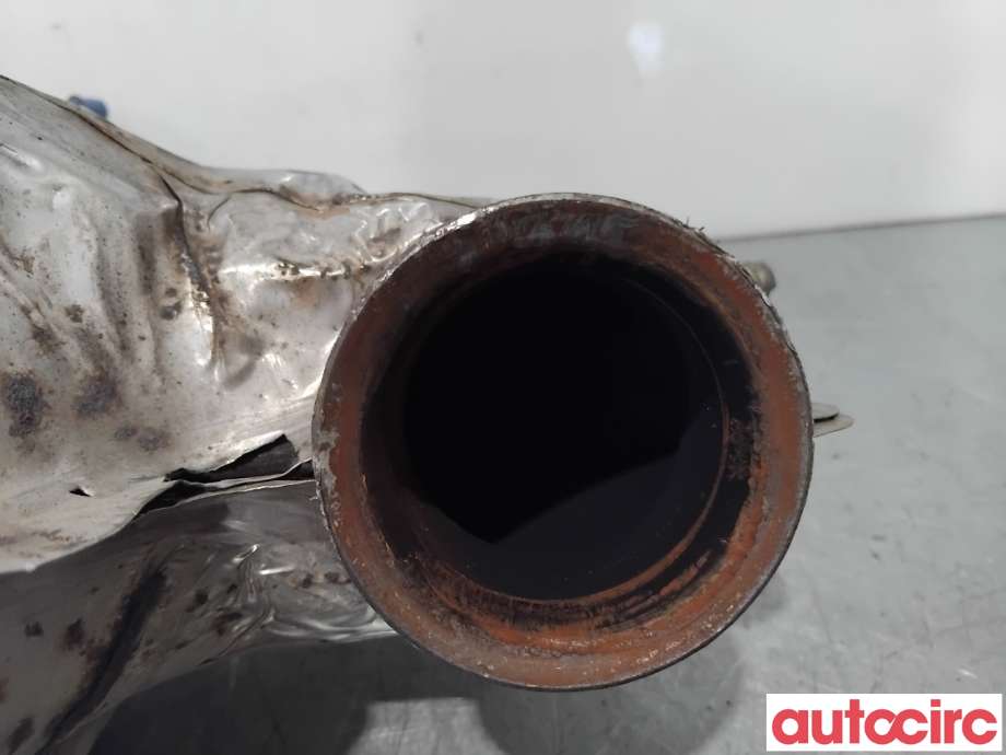 Partikkelfilter til Citroën Berlingo 2008-2015 (Type II, Fase 1)  (CITROEN|1609532780|TRPSAK638)