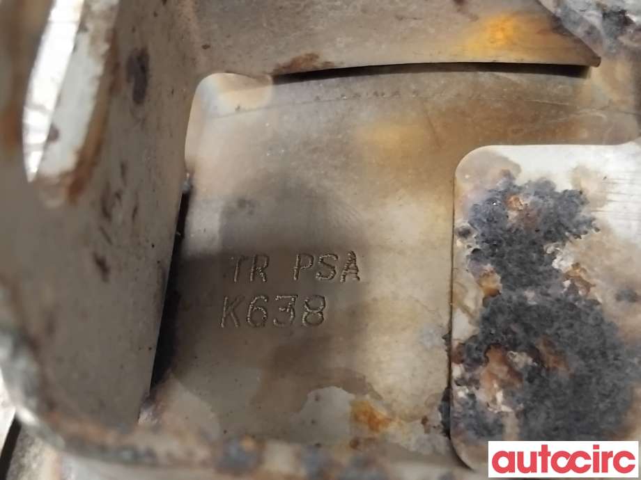 Partikkelfilter til Citroën Berlingo 2008-2015 (Type II, Fase 1)  (CITROEN|1609532780|TRPSAK638)