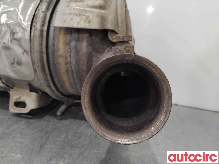 Partikkelfilter til Peugeot 4008 2012-2017 (PEUGEOT|1609532780|TRPSAK635|)