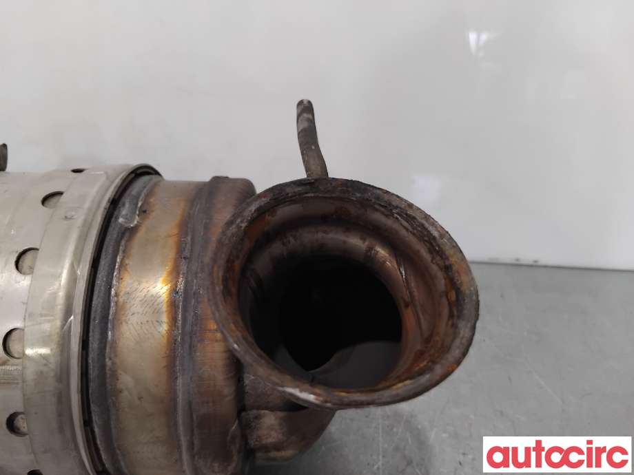 Partikkelfilter til Citroën Berlingo 2008-2015 (Type II, Fase 1)  (CITROEN|174037|TRPSAK493|)