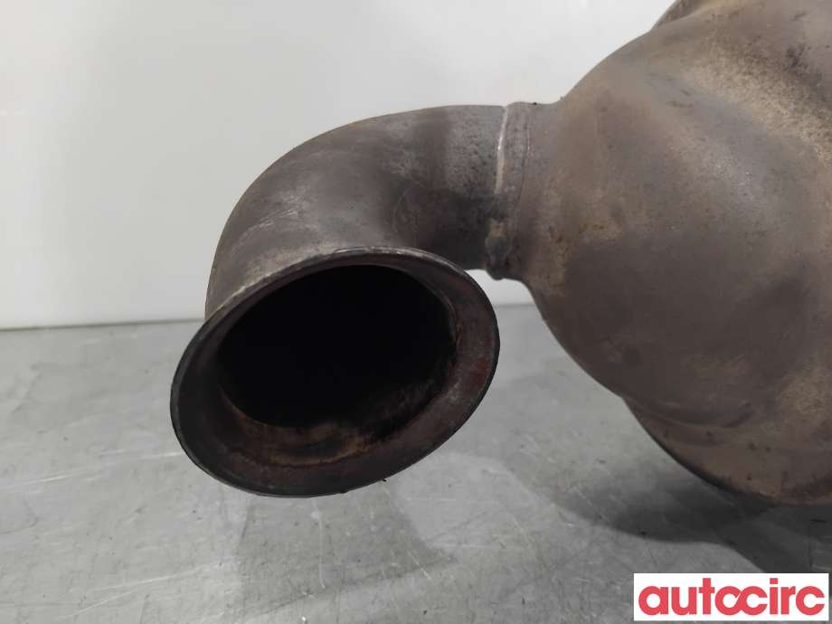 Partikkelfilter til Citroën Berlingo 2008-2015 (Type II, Fase 1)  (CITROEN|174037|TRPSAK493|)