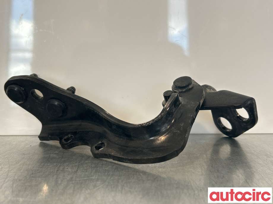 Hengsler til Land Rover Range Rover, Evoque 2011-2019 (Type I)  (LAND-ROVER|LR088975|LR038586|BJ3242900)