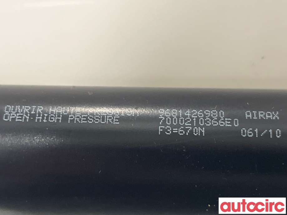 Baklukedemper til Citroën Berlingo 2008-2015 (Type II, Fase 1)  (CITROEN|9819027880)