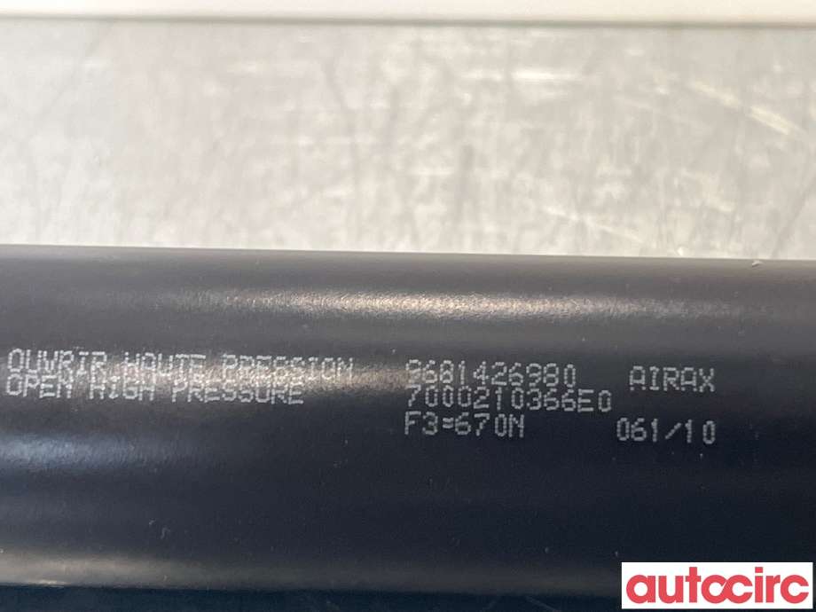 Baklukedemper til Citroën Berlingo 2008-2015 (Type II, Fase 1)  (CITROEN|9819027880)