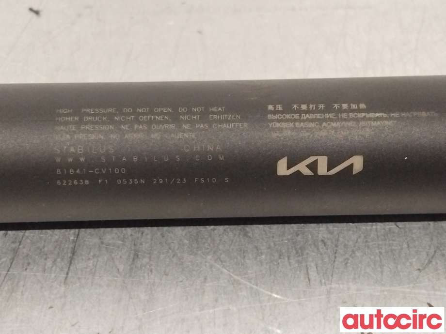 Baklukedemper til Kia EV6 2021-->>  (KIA|81841CV100||81841-CV100)
