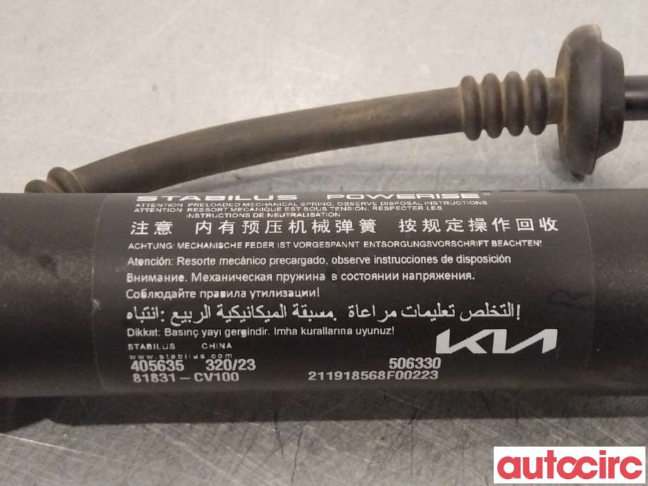 Baklukedemper til Kia EV6 2021-->>  (KIA|81831CV100||81831-CV100)
