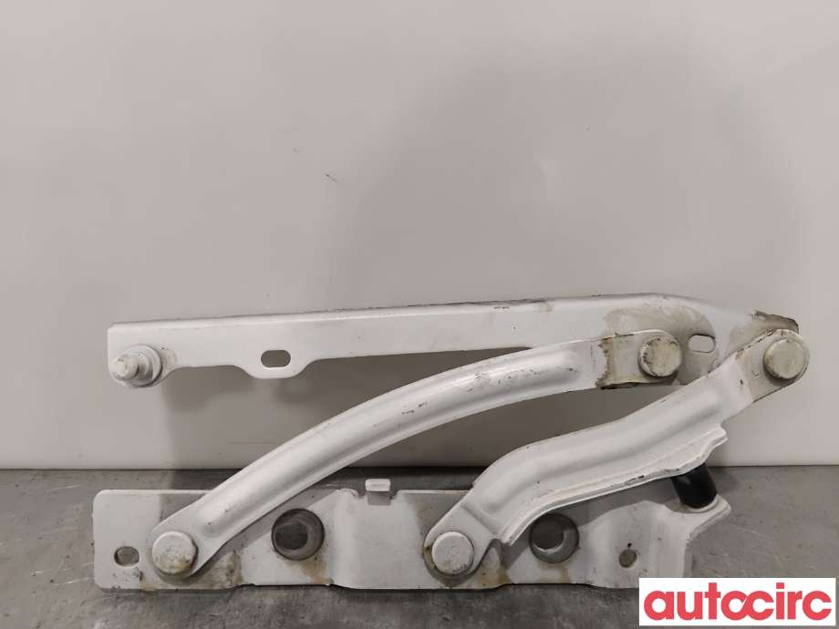 Panserhengsler til BYD T3 2020-->>  (BYD|HC-8402610|)