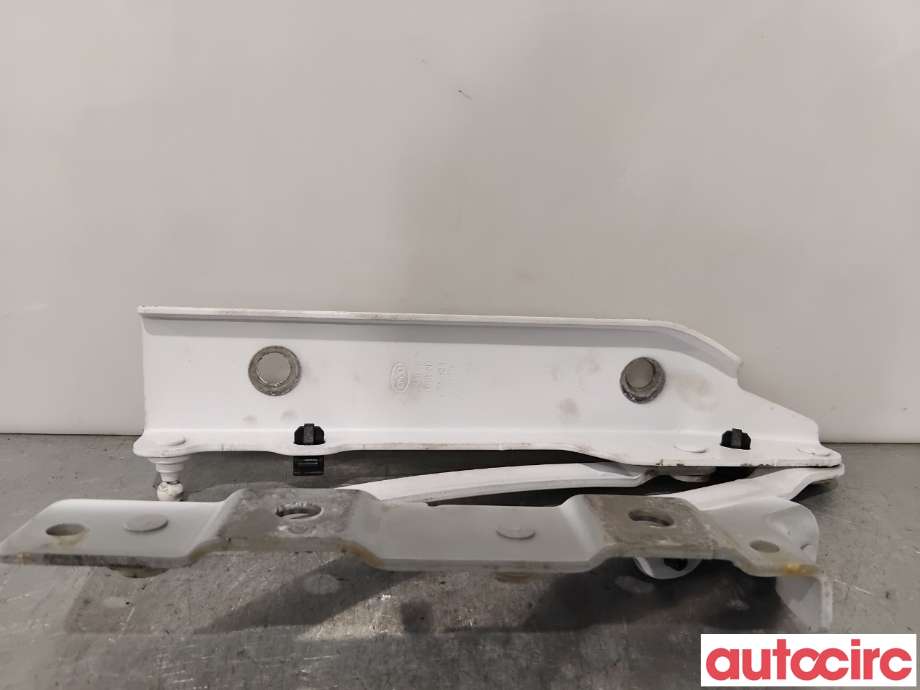 Panserhengsler til BYD T3 2020-->>  (BYD|HC-8402619|)