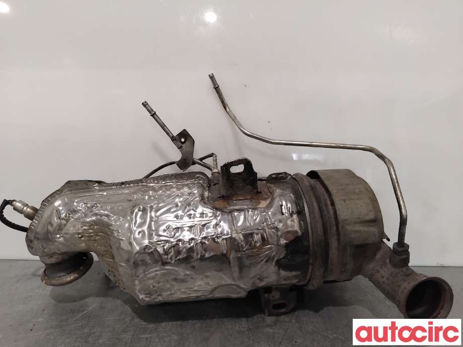 Partikkelfilter til Citroën C4, Picasso 2013-2018 (Type II)  (CITROEN|1609532780|TRPSAK683|)