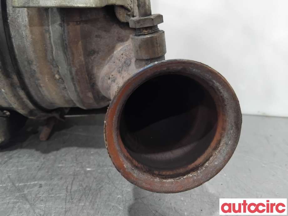 Partikkelfilter til Citroën C4, Picasso 2013-2018 (Type II)  (CITROEN|1609532780|TRPSAK683|)