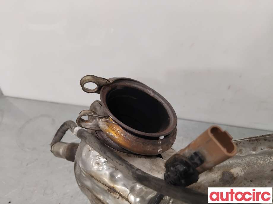 Partikkelfilter til Citroën C4, Picasso 2013-2018 (Type II)  (CITROEN|1609532780|TRPSAK683|)