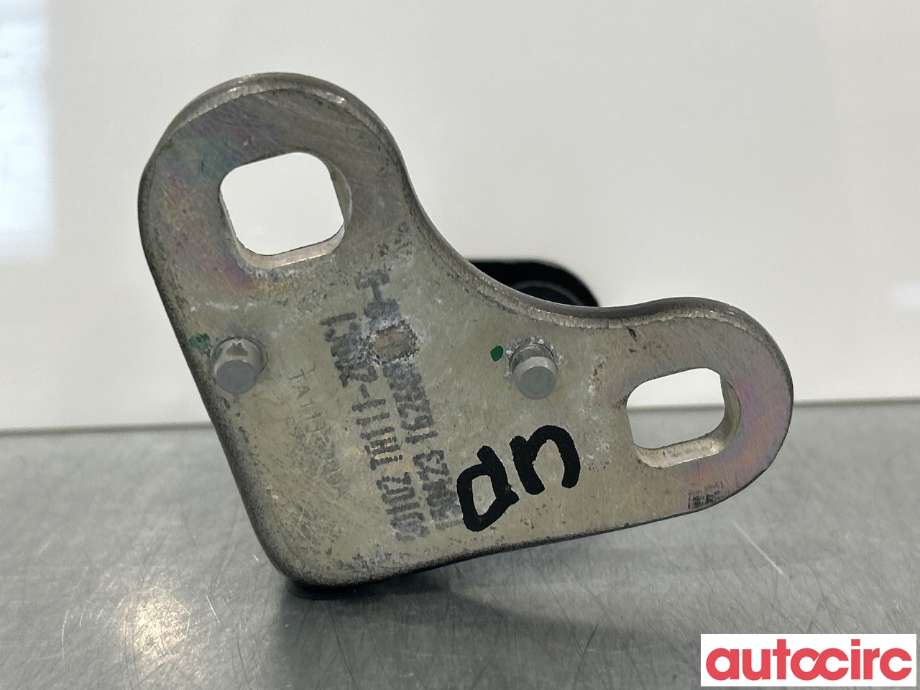 Hengsler til Tesla Model Y 2021-2024 (Type I) (TESLA|1626075-00-B|)
