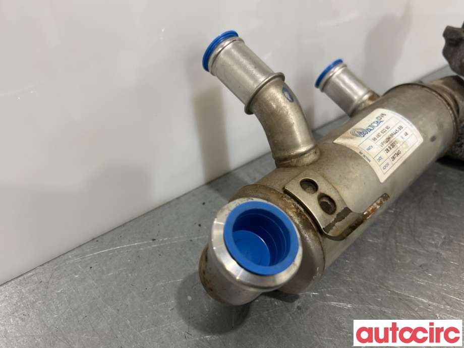 EGR-ventil til Peugeot Expert 2007-2016 (Type II)  (PEUGEOT|1638154980|V29006980|9672880080)