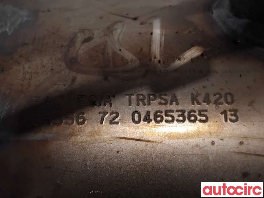Partikkelfilter til Peugeot 308 2007-2011 (Type I, Fase 1)  (PEUGEOT|174037|TRPSAK420|)