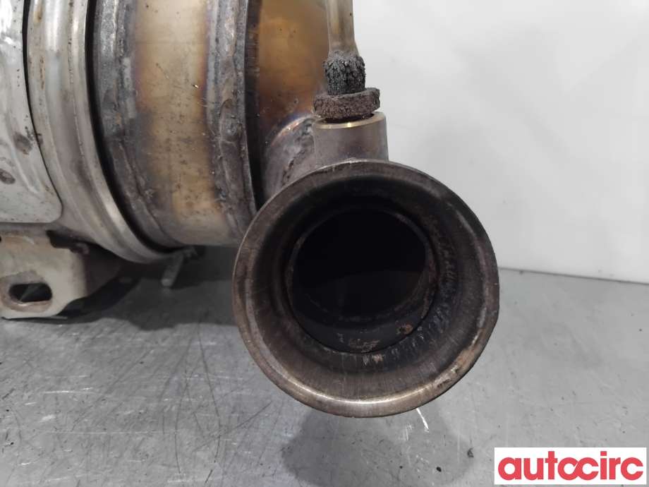 Partikkelfilter til Citroën C4 2011-2017 (Type II) (CITROEN|1609532780|TRPSAF026|9676884380)