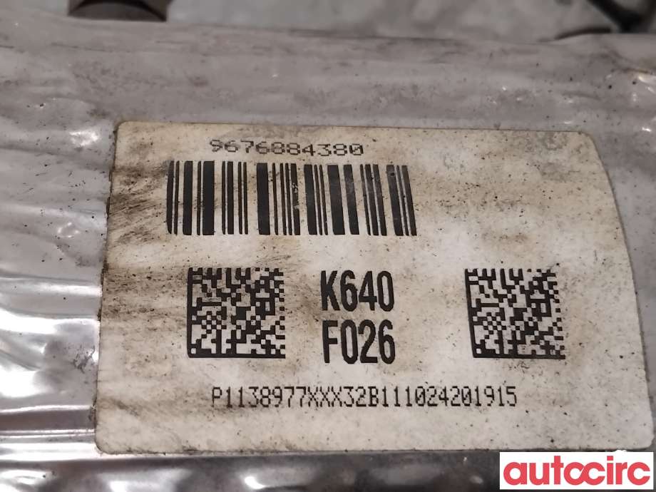 Partikkelfilter til Citroën C4 2011-2017 (Type II) (CITROEN|1609532780|TRPSAF026|9676884380)