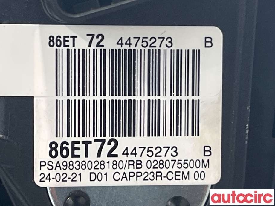 Pedal gass til Citroën Jumpy 2007-2016 (Type II)  (CITROEN|9838028180)
