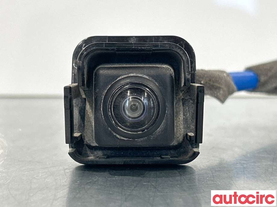 Kamera til Renault Zoe, 2013-2019 (Fase 1) (RENAULT|284421319R)