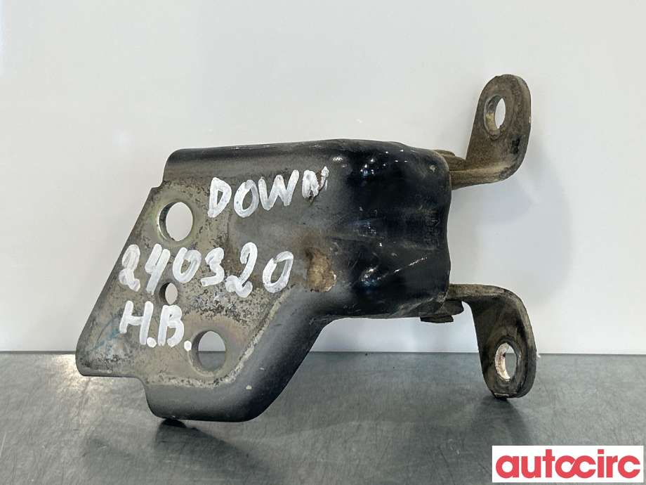 Hengsler til Isuzu D-Max, 2017-2020 (Type II, Fase 2)  (ISUZU|8981052811)