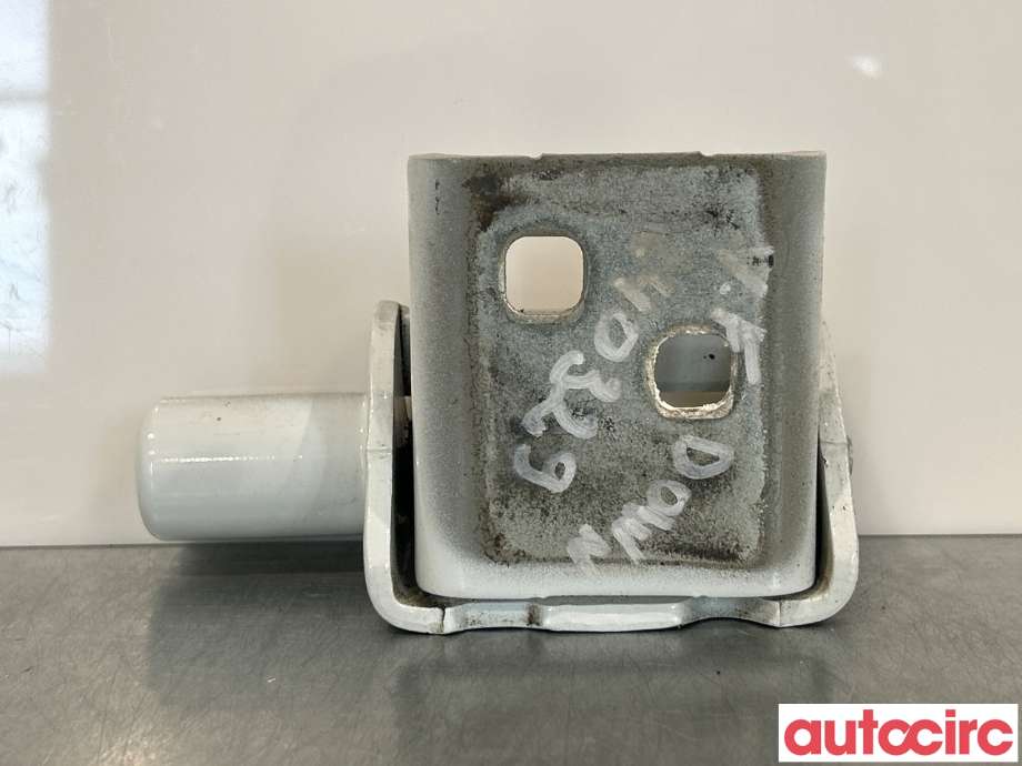 Hengsler til Renault Zoe, 2013-2019 (Fase 1) (RENAULT|804213025R)