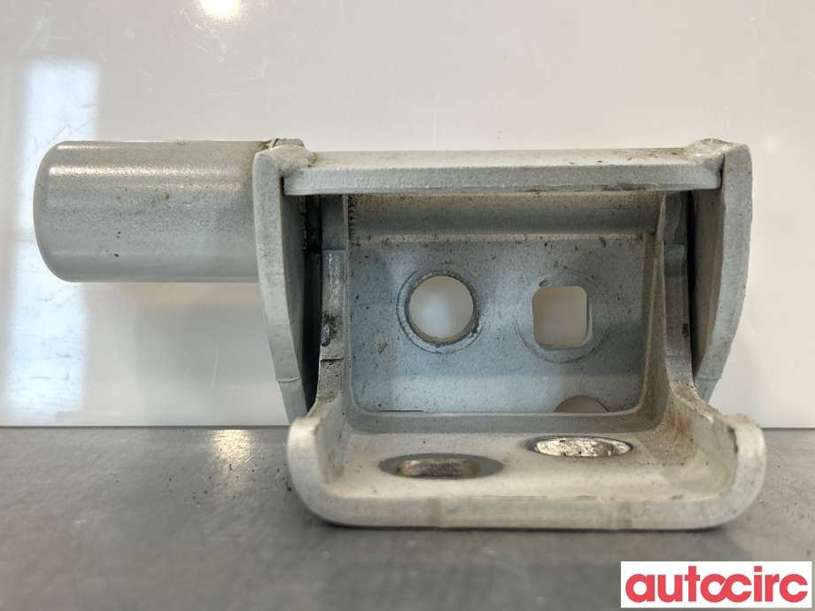 Hengsler til Renault Zoe 2013-2019 (Fase 1) (RENAULT|804213025R|)