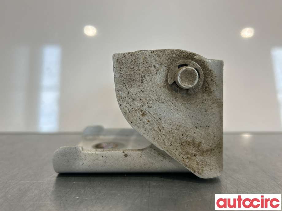 Hengsler til Renault Zoe 2013-2019 (Fase 1) (RENAULT|804213025R|)
