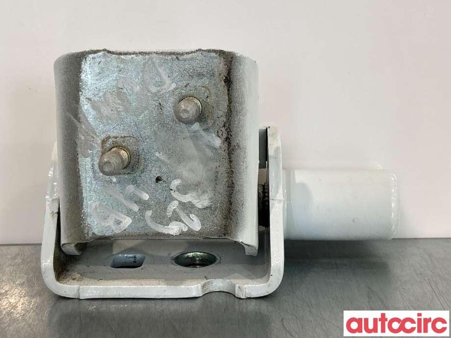 Hengsler til Renault Zoe 2013-2019 (Fase 1)  (RENAULT|824205786R|)
