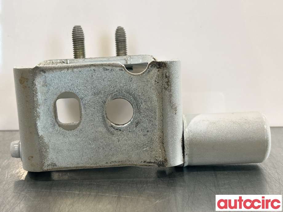 Hengsler til Renault Zoe 2013-2019 (Fase 1)  (RENAULT|824205786R|)