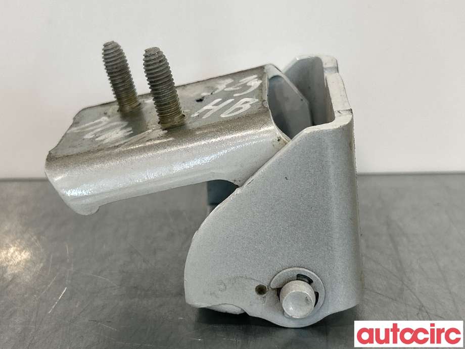Hengsler til Renault Zoe 2013-2019 (Fase 1)  (RENAULT|824205786R|)