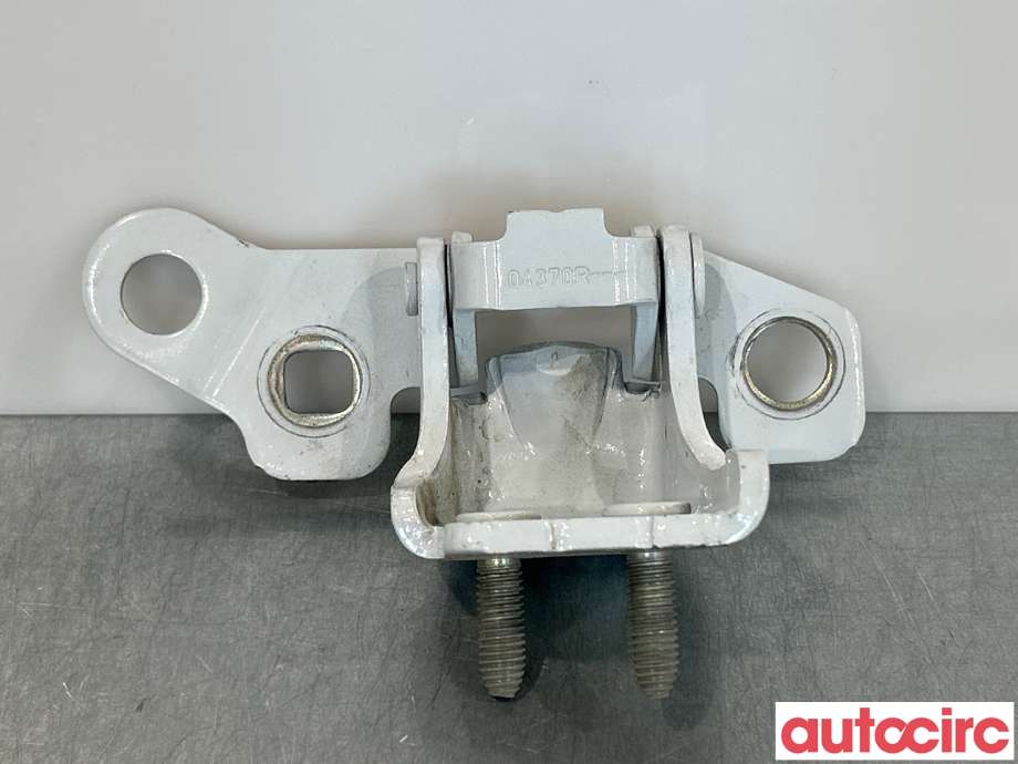Hengsler til Renault Zoe, 2013-2019 (Fase 1) (RENAULT|824002857R)